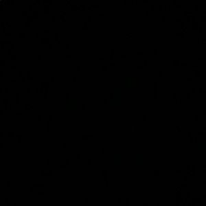 Meet your Posher, Bob